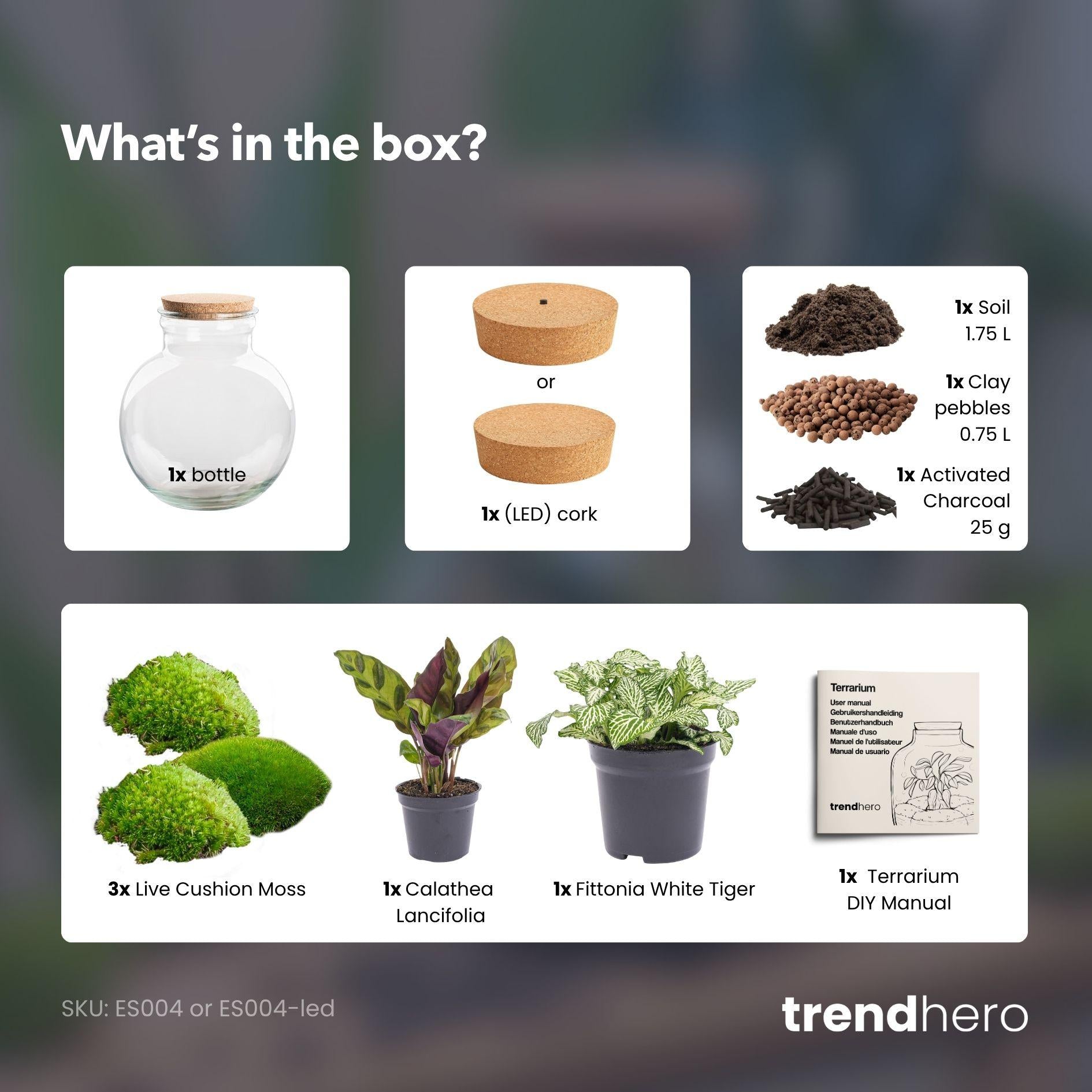 Flaschengarten - Teddy - ↕ 26,5 cm - Met LED-kurk